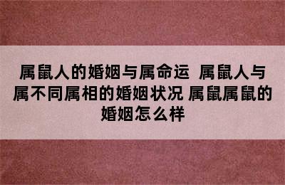 属鼠人的婚姻与属命运  属鼠人与属不同属相的婚姻状况 属鼠属鼠的婚姻怎么样